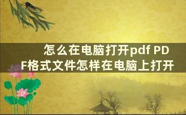 怎么在电脑打开pdf PDF格式文件怎样在电脑上打开